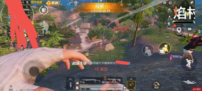 火焰鸟和平精英辅助器 - 人气辅助整合直装版